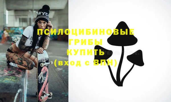 дживик Бугульма