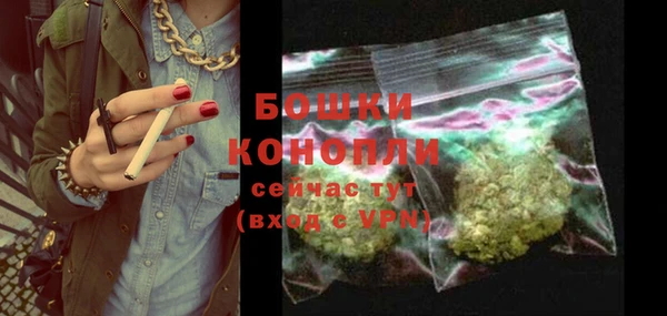 трава Бородино