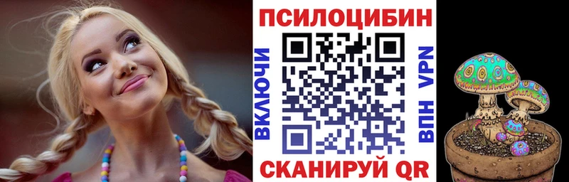 Купить где  Таганрог  Псилоцибиновые грибы GOLDEN TEACHER 